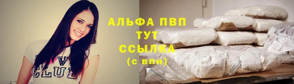 тгк Новокубанск